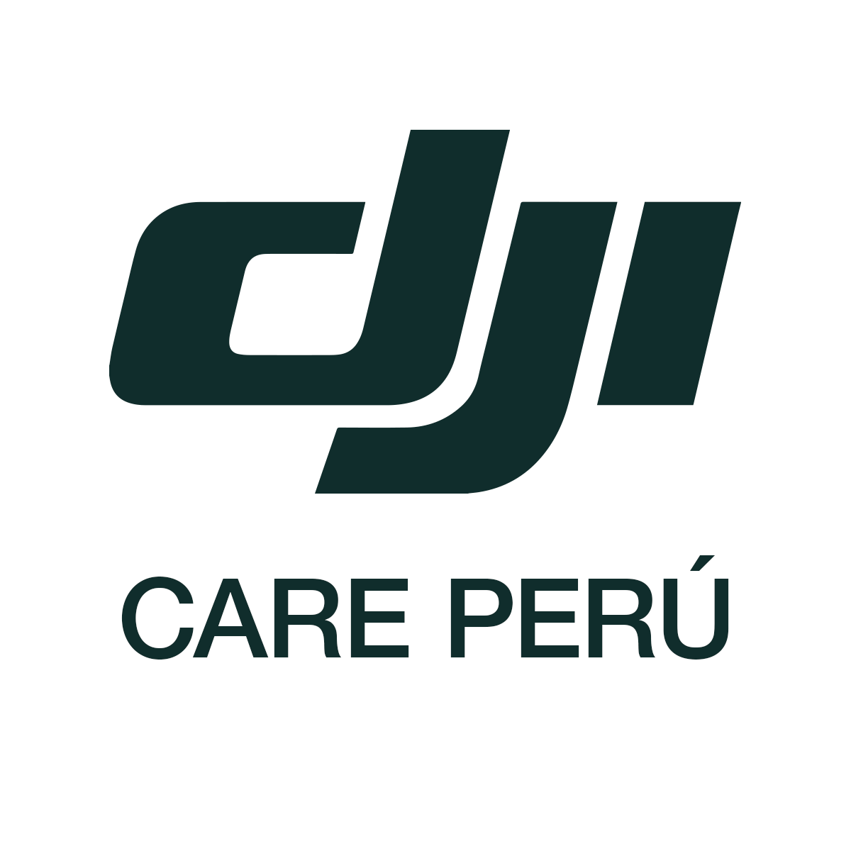 DJI Care 2 Años